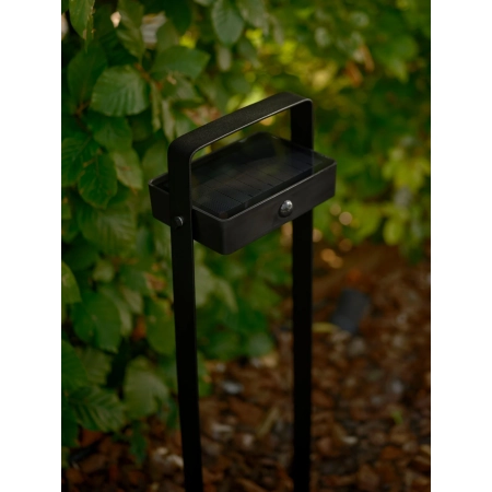Lampa ogrodowa stojąca LED z ruchomym reflektorem 1x4,5W Saulio NO2518268003 - Nordlux